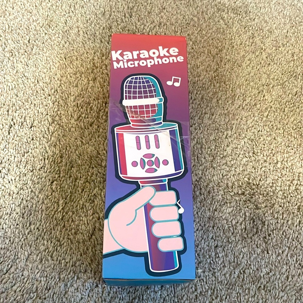 Karaoke microphone